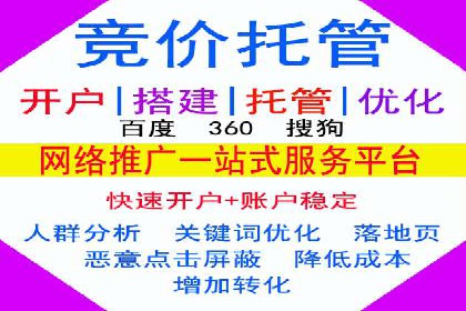 电商成功案例：竞价推广助力品牌崛起